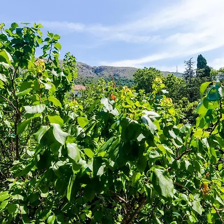 Eos & Vespera * 杜布罗夫尼克