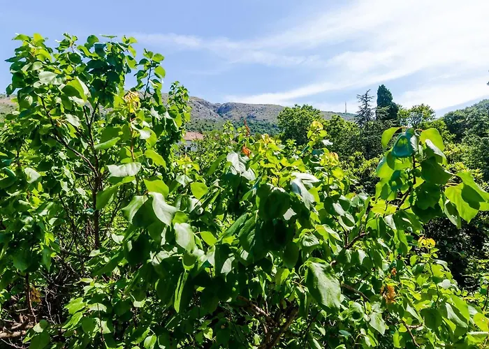 Eos & Vespera * Dubrovnik